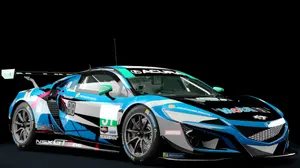 Honda NSX GT3 ACC Endurance