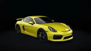 Porsche Cayman GT4 Std